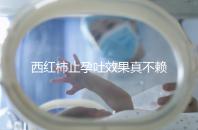 西紅柿止孕吐效果真不賴，選小的生吃或加雞蛋打湯都行