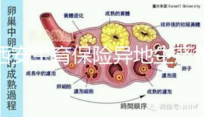 西安生育保險(xiǎn)異地生產(chǎn)報(bào)銷流程及程序公開，不懂收藏
