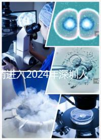 請進入2024年深圳人民醫(yī)院宮腔鏡手術和檢查的費用