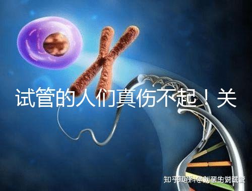 試管的人們真傷不起！關于養囊的成功率這些你得知道