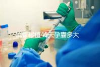 試管移植45天孕囊多大正常？孕囊胎芽孕周對照表別錯過