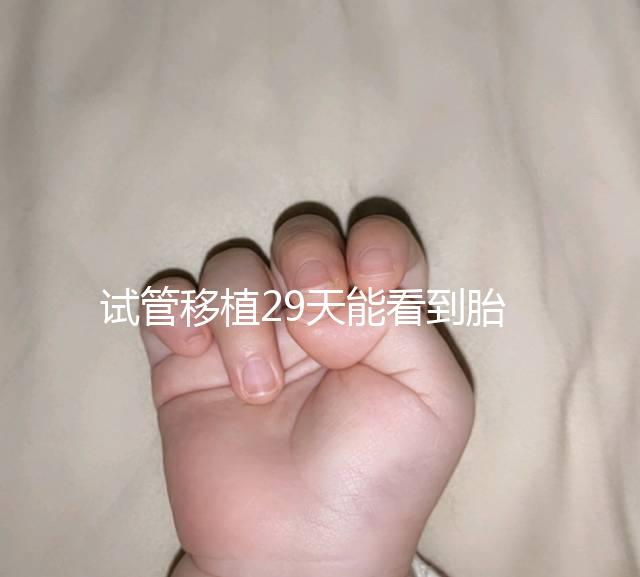 試管移植29天能看到胎心嗎？B超還能看孕囊大小和胎心