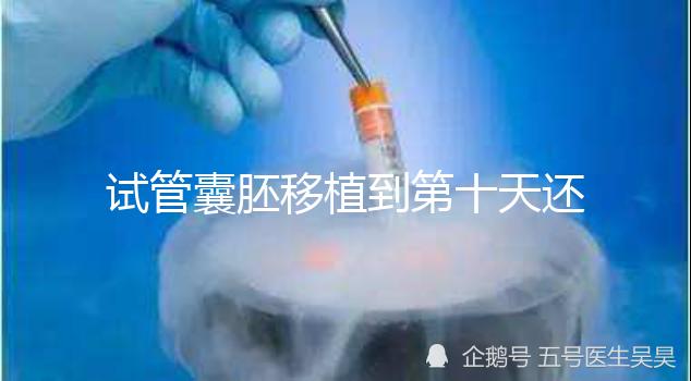 試管囊胚移植到第十天還是白板別擔心，放松心態等逆襲吧！