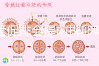 試管促排會提前排卵嗎（促排會不會提前排卵）