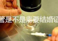試管是不是需要結(jié)婚證，做試管嬰兒需要結(jié)婚證書嗎？