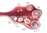 試管嬰兒的過程(試管嬰兒的過程步驟及時(shí)間)