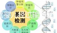 試管嬰兒經(jīng)過輸卵管嗎(10個(gè)人做試管幾個(gè)能成功)