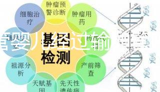 試管嬰兒經(jīng)過輸卵管嗎(10個(gè)人做試管幾個(gè)能成功)