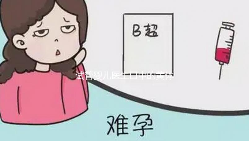 試管嬰兒醫生口中的黃體功能不全到底為那般？
