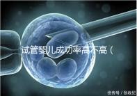 試管嬰兒成功率高不高(供卵試管嬰兒成功率高不高)