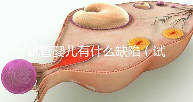 試管嬰兒有什么缺陷(試管嬰兒有什么缺陷和風險)