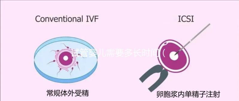 試管嬰兒需要多長時間(試管嬰兒需要多長時間完成)