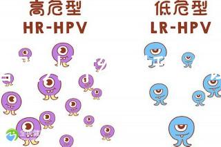 試管嬰兒詳細(xì)過(guò)程(試管嬰兒詳細(xì)過(guò)程小說(shuō))