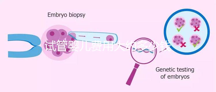 試管嬰兒費(fèi)用大約多少錢(泰國試管嬰兒費(fèi)用大約多少錢)