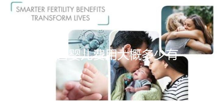 試管嬰兒費用大概多少有清單嗎（試管嬰兒費用明細表）