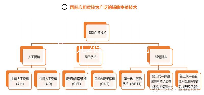 試管嬰兒2促3移，說說5點我的成功懷孕經驗