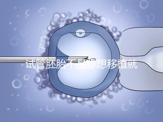 試管胚胎不是你想移植就可以移動的，需要滿足這些條件！