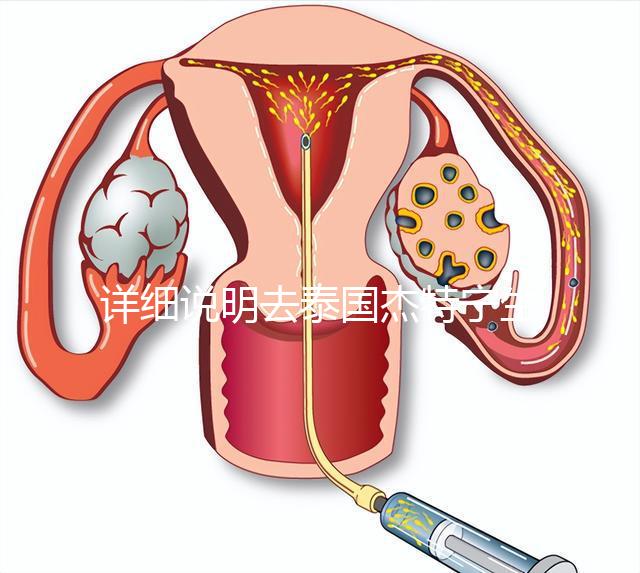 詳細說明去泰國杰特寧生殖中心做第三代試管技術的五大優勢，幫助你克服生育問題，快速隱藏！