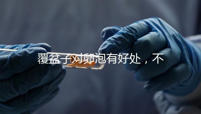 覆盆子對卵泡有好處，不要錯過維持卵巢早衰，軟化宮頸