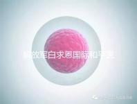 解放軍白求恩國際和平醫(yī)院(中國人民解放軍白求恩國際和平醫(yī)院)