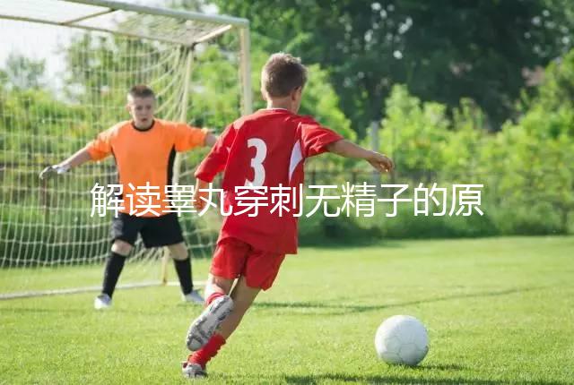 解讀睪丸穿刺無(wú)精子的原因,治愈性不大供精或是最后選擇