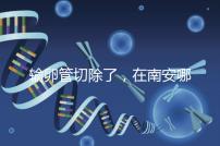 輸卵管切除了，在南安哪里能做試管嬰兒？