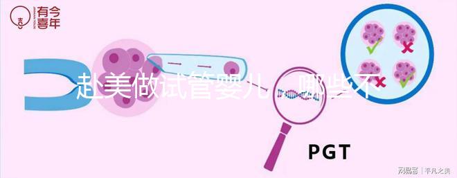 赴美做試管嬰兒,哪些不孕類問(wèn)題更容易成功?