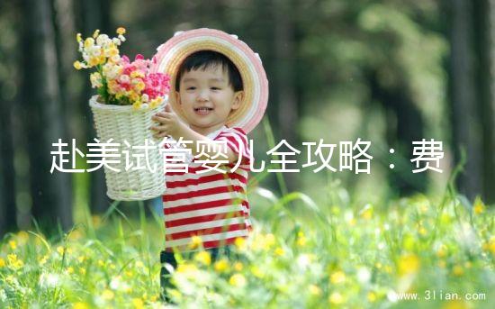 赴美試管嬰兒全攻略：費用、流程、成功率一次看懂