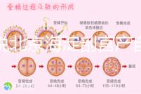 誰說北京海淀剖宮產(chǎn)自付費用高，了解2024年生育保險報銷比例？