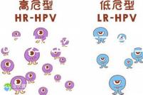 誰說不辦準(zhǔn)生證不能上戶,2020年生育新政策了解下!