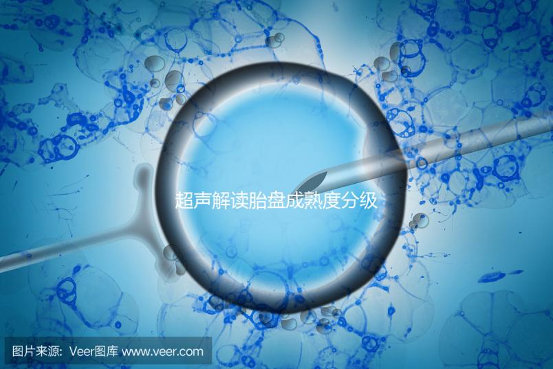 超聲解讀胎盤(pán)成熟度分級(jí)標(biāo)準(zhǔn)，二級(jí)到三級(jí)時(shí)間真說(shuō)不準(zhǔn)