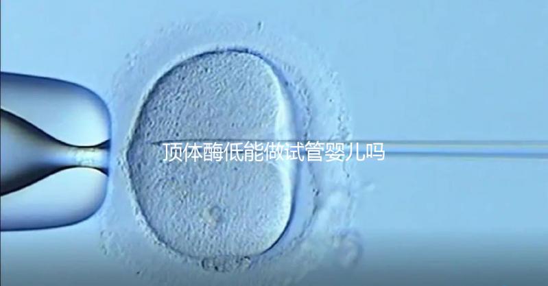 頂體酶低能做試管嬰兒嗎？你想知道的答案全在這