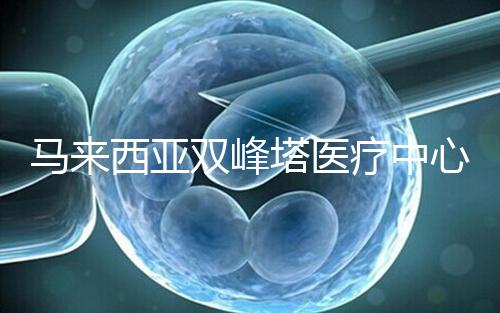 馬來西亞雙峰塔醫(yī)療中心(TTMC):位于吉隆坡的一站式綜合醫(yī)院