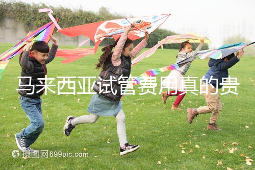 馬來西亞試管費用真的貴么？同善醫院價格說明