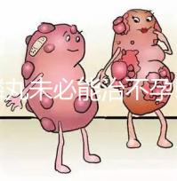 麒麟丸未必能治不孕!切勿盲目服用而耽誤最佳生育時機(jī)