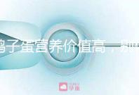 鴿子蛋營養價值高，別信孕婦吃了會造成胎兒早熟的胡話