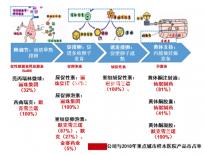 5bc囊胚移植后第六天測(cè)兩條杠要注意,第九天沒(méi)了不在少數(shù)