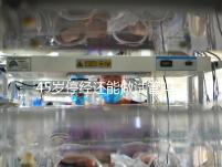 45歲停經還能做試管嗎？成功懷孕幾率深入解析