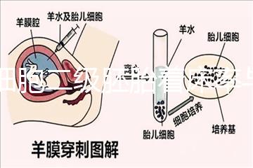 6細(xì)胞二級胚胎著床率與養(yǎng)囊成功率解讀,拿不準(zhǔn)移植與否戳