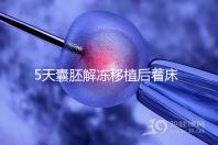 5天囊胚解凍移植后著床or游離看這,驗(yàn)孕時(shí)間可別太早