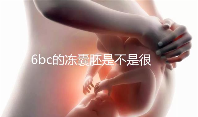 6bc的凍囊胚是不是很差？3分鐘帶你了解胚胎質量和級別