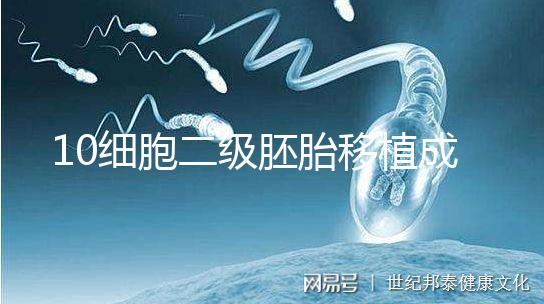 10細胞二級胚胎移植成功率解析，應(yīng)不應(yīng)該養(yǎng)囊答案在這