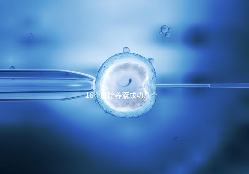16個胚胎養(yǎng)囊成功幾個說不準，11個概率高不高真不一定
