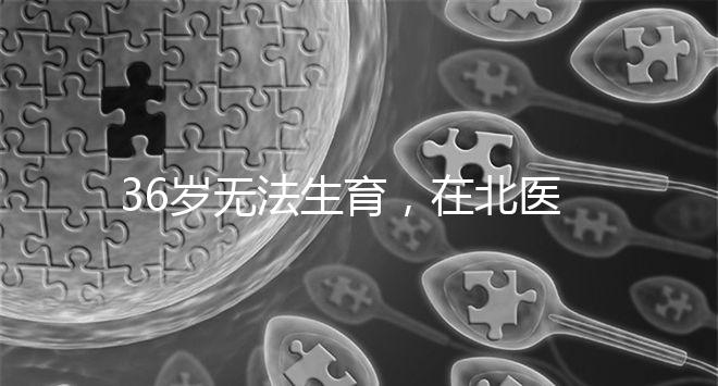 36歲無法生育，在北醫三院做人工授精成功率有多少？