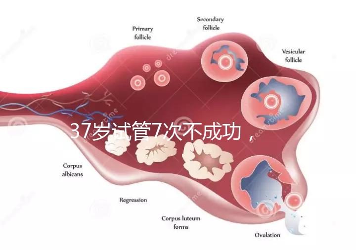 37歲試管7次不成功，關(guān)于反復(fù)移植失敗這些你得了解！