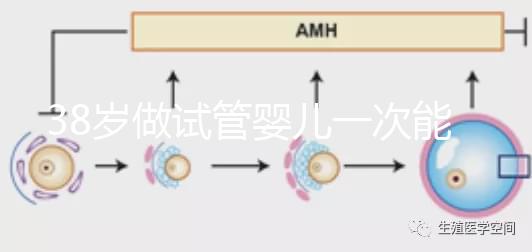 38歲做試管嬰兒一次能成功嗎？提前準(zhǔn)備好這4點(diǎn)或許可以