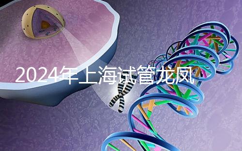 2024年上海試管龍鳳胎價格明細表公布，一次準備3萬元就夠了