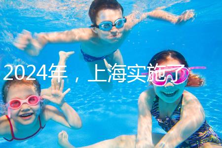 2024年,上海實施了新的生育保險政策,單獨生兩個孩子也可以享受待遇