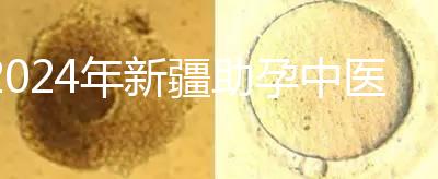 2024年新疆助孕中醫數不勝數,頂尖專家技能水平高