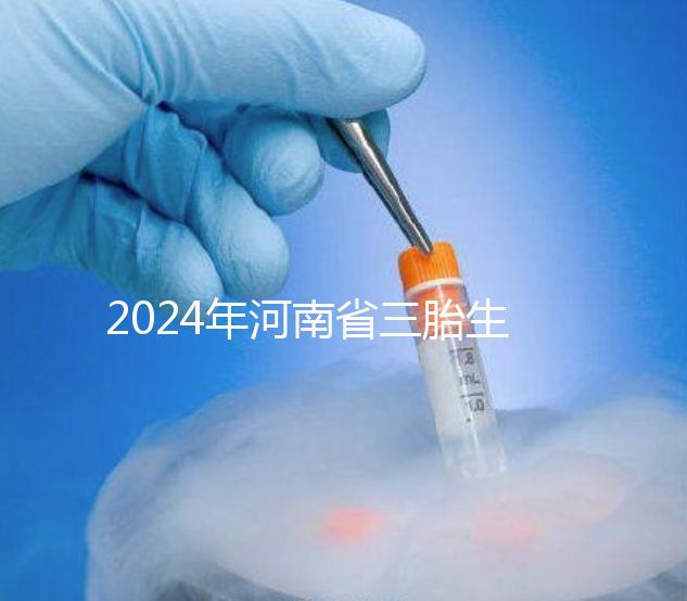 2024年河南省三胎生育津貼發生變化！南陽和信陽最高獎勵20萬！